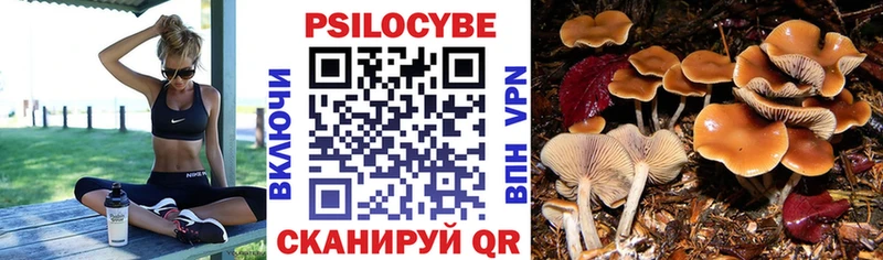 Псилоцибиновые грибы Psilocybine cubensis  Купить закладки  Светлогорск 