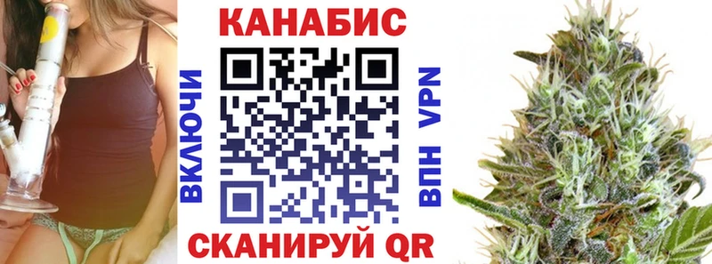 Купить закладки  Светлогорск  Конопля ГИДРОПОН 